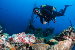 scuba diving experiences
