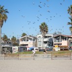 “Ghosbusters” Tour NYC