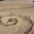 Guess What? It’s Never Lupus