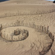 Guess What? It’s Never Lupus