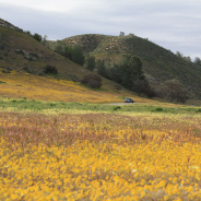 Goat Simulator: The Craziest Game Ever Made