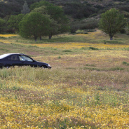 Foreign Languages Are Funny