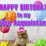Happy Birthday to My Loose Acquaintance
