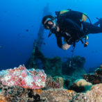 5 Reasons to Try Scuba Diving on Your Next Vacation